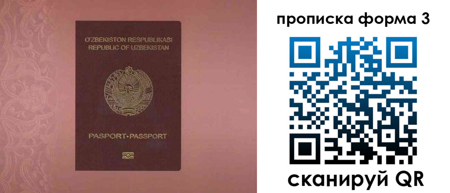 регистрация в Чкаловске